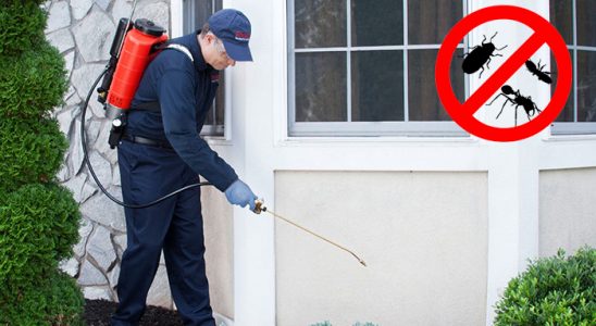 Yenişehir Dezenfeksiyon böcek ilaçlama ve haşere kontrolü — ilaclama-tr.com